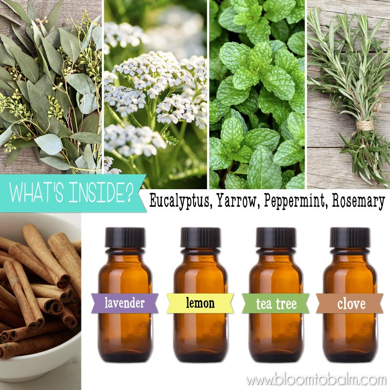 4 Thieves {IMMUNITY} Salve – Bloom to Balm | My Computer is My Canvas