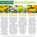 We've Moved! www.bloomtobalm.com