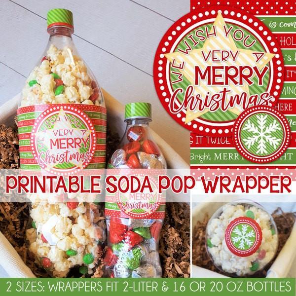 Amazon.com: Portable Soda Maker Household 1L Sparkling Water
