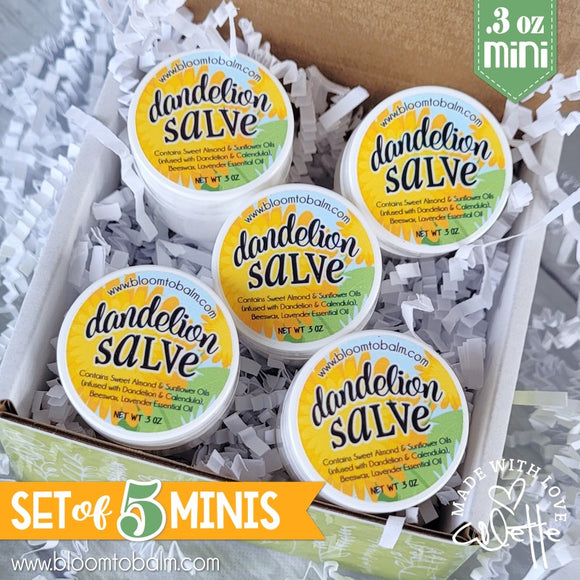 DANDELION Salve {Original} SET OF 5 