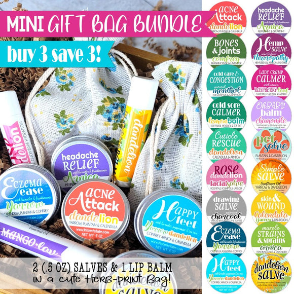 SPRING DEAL: MINI GIFT BAG BUNDLE: 2 Salves (.5 oz) & 1 Lip Balm