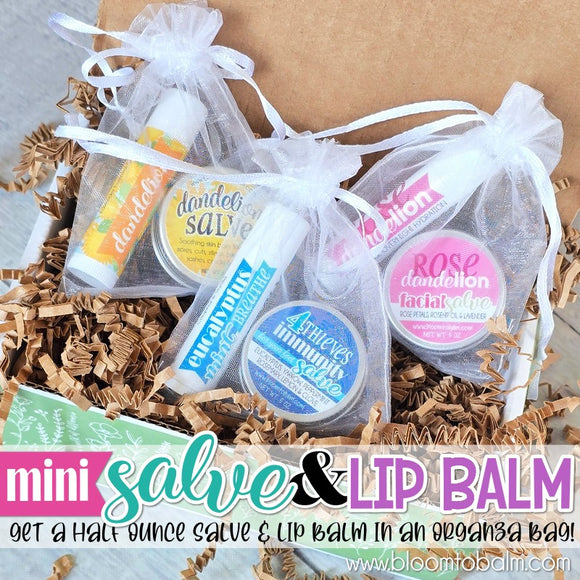 SPRING DEAL: Salve & Lip Balm in a Gift Bag